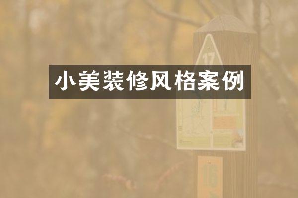 小美装修风格案例