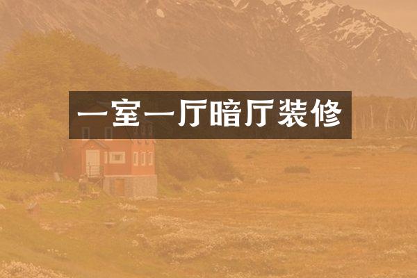 一室一厅暗厅装修