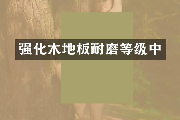 强化木地板耐磨等级中