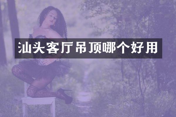 汕头客厅吊顶哪个好用