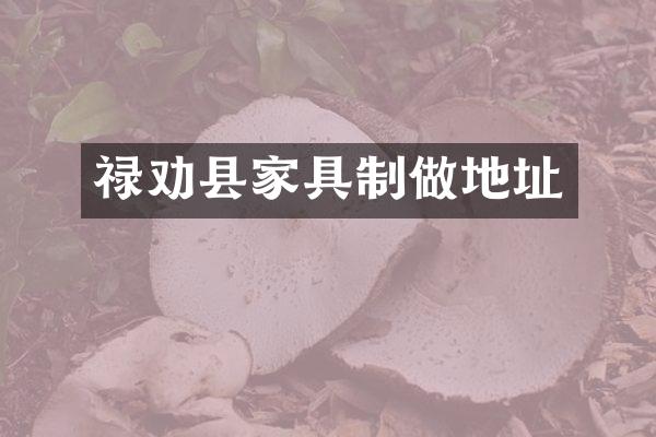 禄劝县家具制做地址