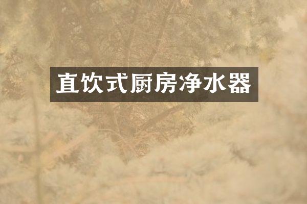 直饮式厨房净水器