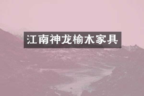 江南神龙榆木家具