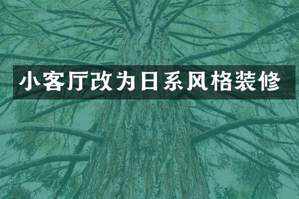 小客厅改为日系风格装修