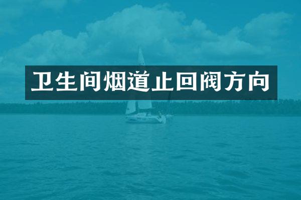 卫生间烟道止回阀方向