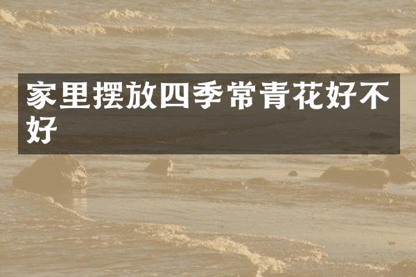 家里摆放四季常青花好不好