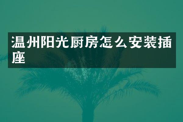 温州阳光厨房怎么安装插座