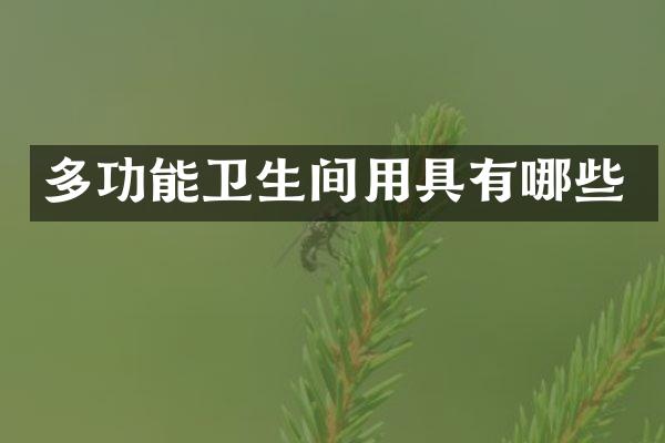 多功能卫生间用具有哪些
