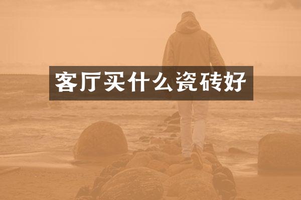 客厅买什么瓷砖好