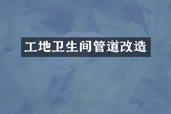 工地卫生间管道改造