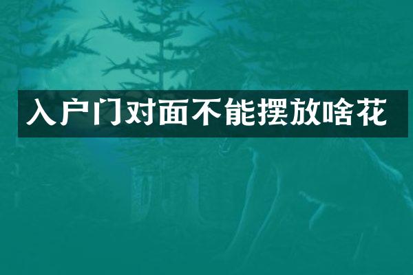 入户门对面不能摆放啥花