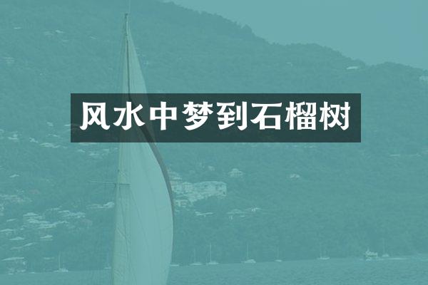 风水中梦到石榴树