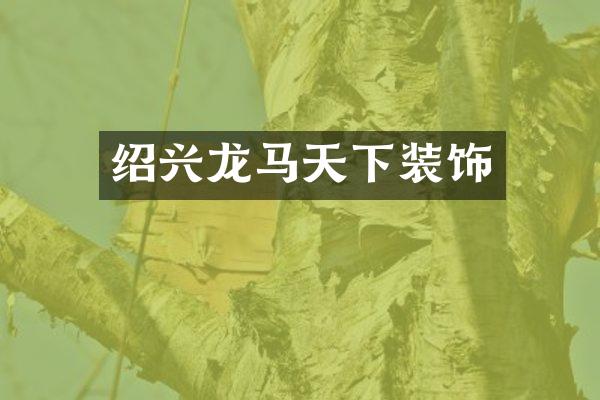 绍兴龙马天下装饰