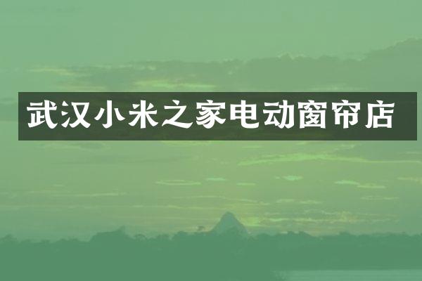 武汉小米之家电动窗帘店