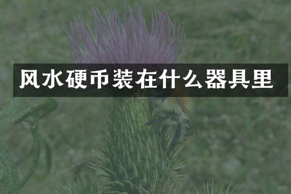 风水硬币装在什么器具里