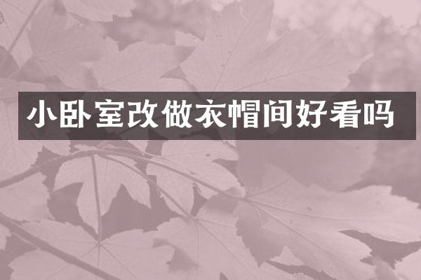小卧室改做衣帽间好看吗