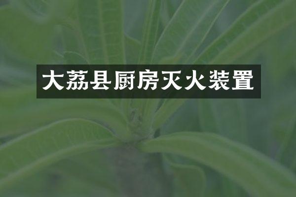 大荔县厨房灭火装置