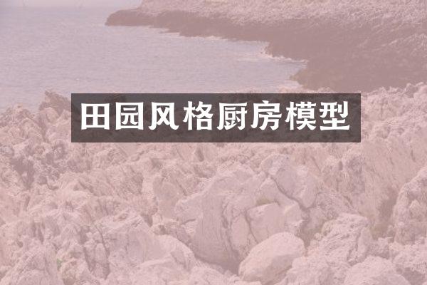 田园风格厨房模型