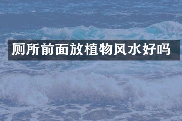 厕所前面放植物风水好吗