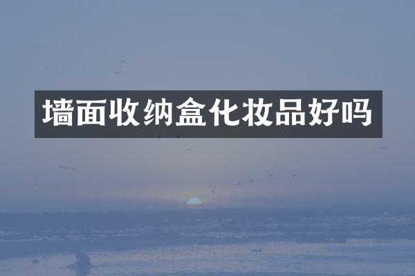 墙面收纳盒化妆品好吗