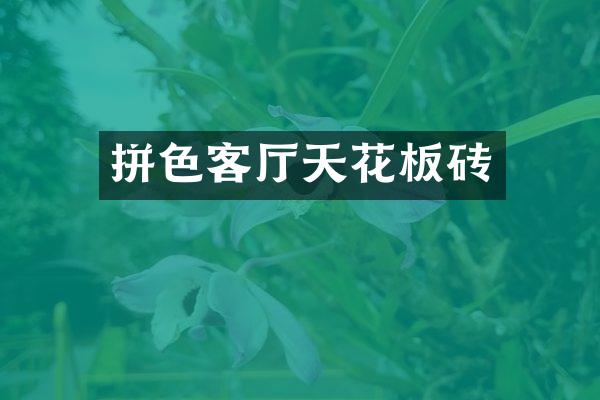拼色客厅天花板砖