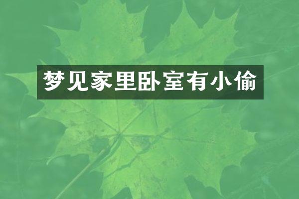 梦见家里卧室有小偷