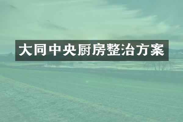 大同中央厨房整治方案