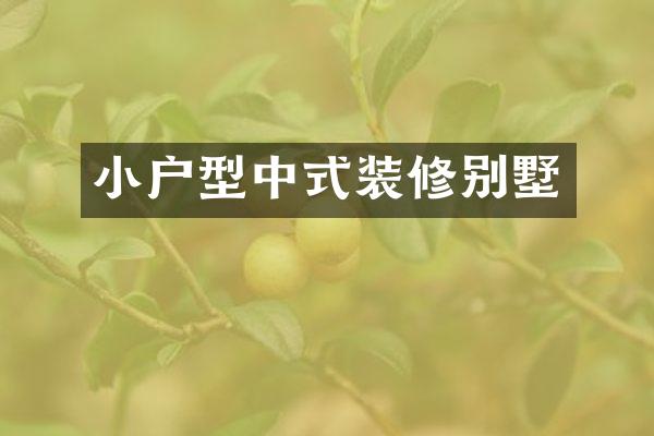 小户型中式装修别墅