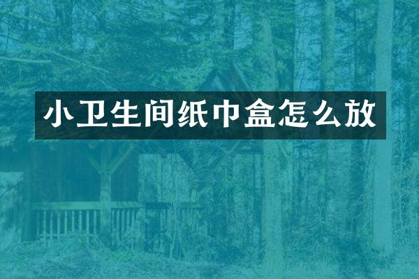 小卫生间纸巾盒怎么放