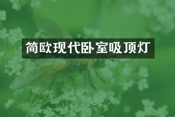 简欧现代卧室吸顶灯