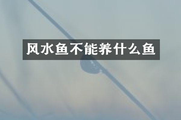 风水鱼不能养什么鱼