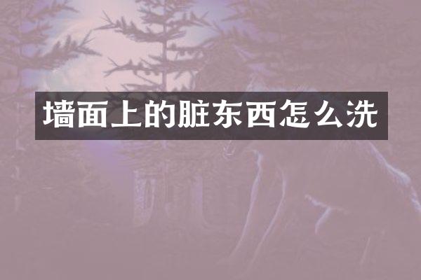 墙面上的脏东西怎么洗