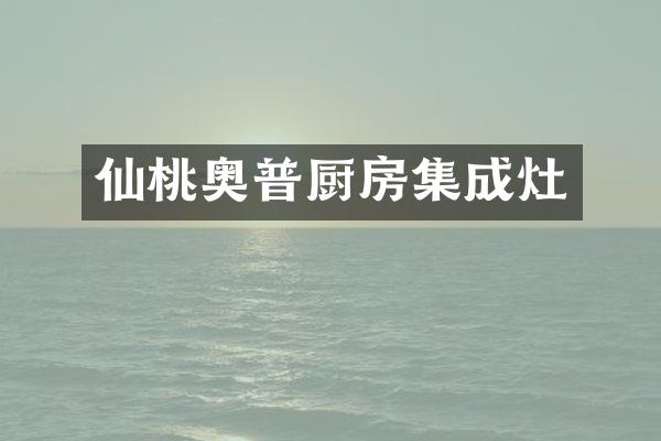 仙桃奥普厨房集成灶