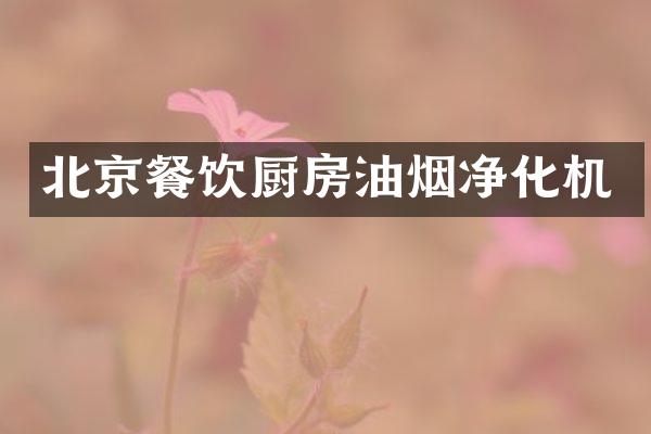 北京餐饮厨房油烟净化机