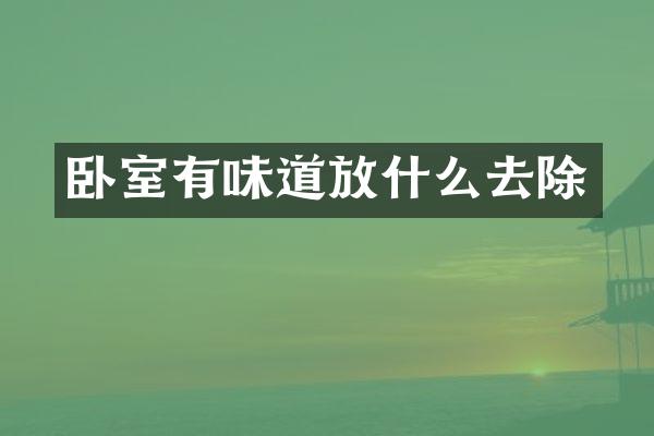 卧室有味道放什么去除