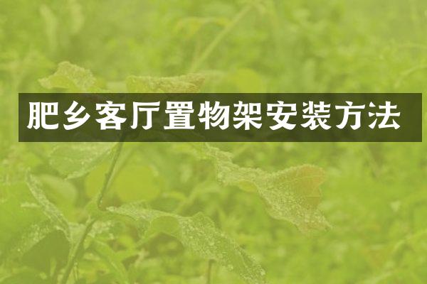 肥乡客厅置物架安装方法