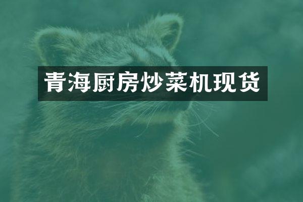 青海厨房炒菜机现货