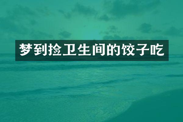 梦到捡卫生间的饺子吃