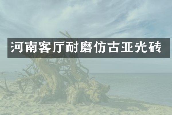 河南客厅耐磨仿古亚光砖