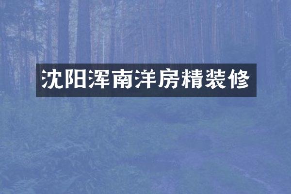沈阳浑南洋房精装修