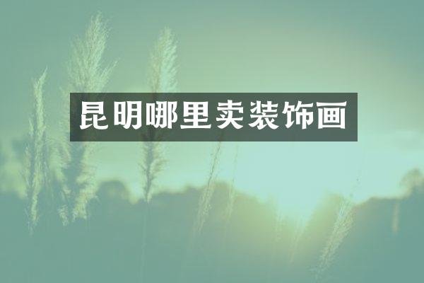昆明哪里卖装饰画