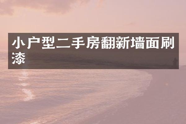 小户型二手房翻新墙面刷漆