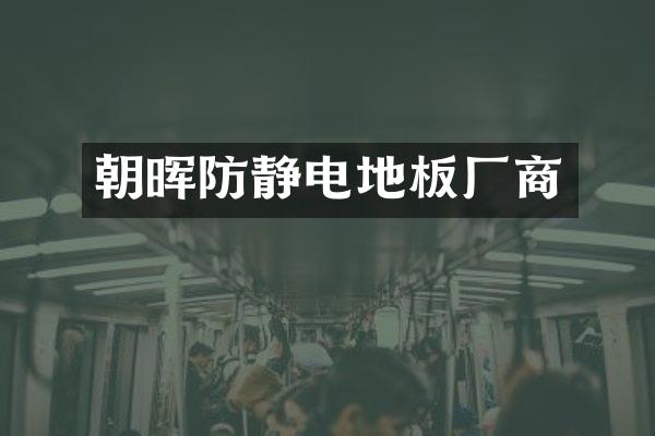 朝晖防静电地板厂商