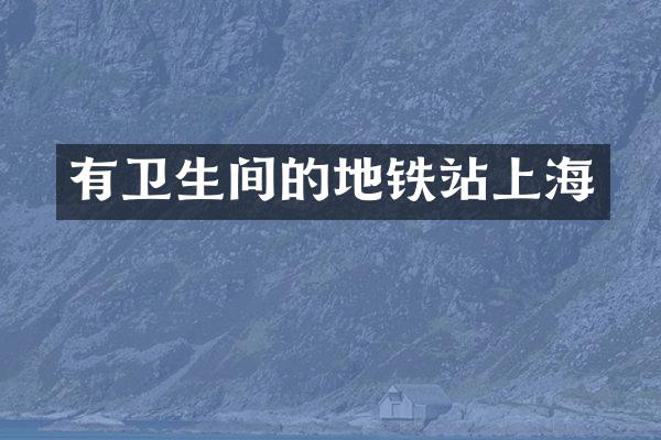 有卫生间的地铁站上海
