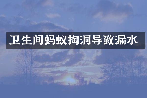 卫生间蚂蚁掏洞导致漏水
