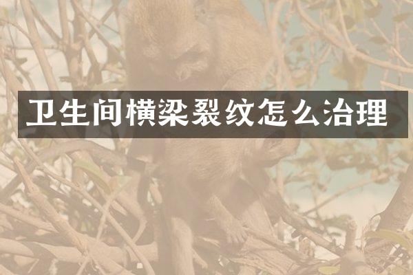 卫生间横梁裂纹怎么治理