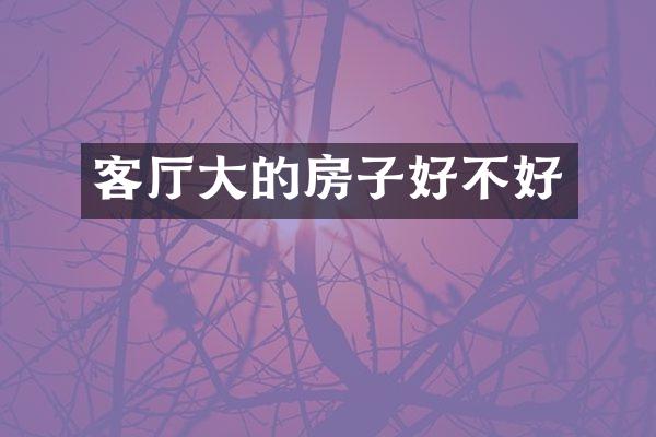 客厅大的房子好不好