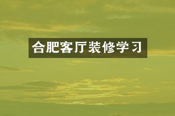 合肥客厅装修学习