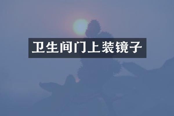 卫生间门上装镜子