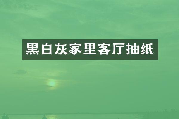 黑白灰家里客厅抽纸